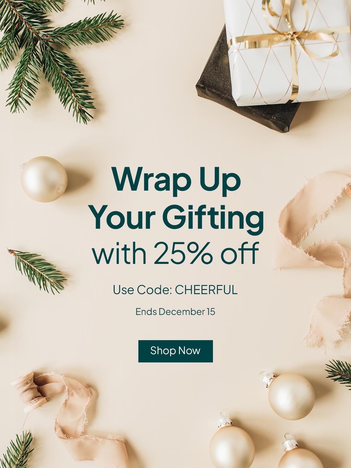 Wrap up your gifting with 25% off